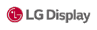 LG Display